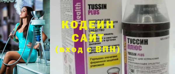 шишки Нязепетровск