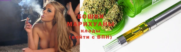 сатива Нягань