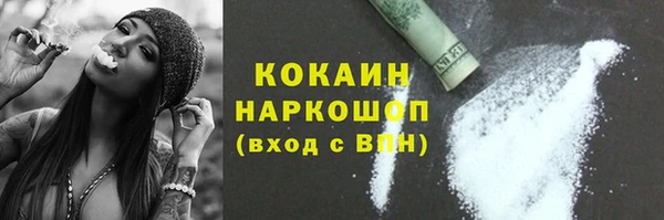 шишки Нязепетровск