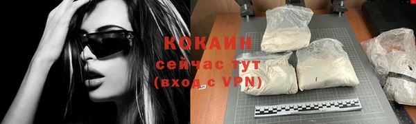 шишки Нязепетровск