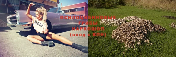 метадон Новозыбков