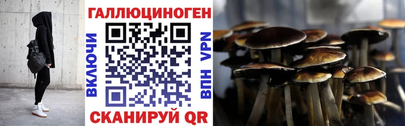 Галлюциногенные грибы мицелий  Череповец 