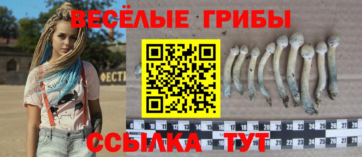 Череповец  Галлюциногенные грибы прущие грибы  Вход с VPN 